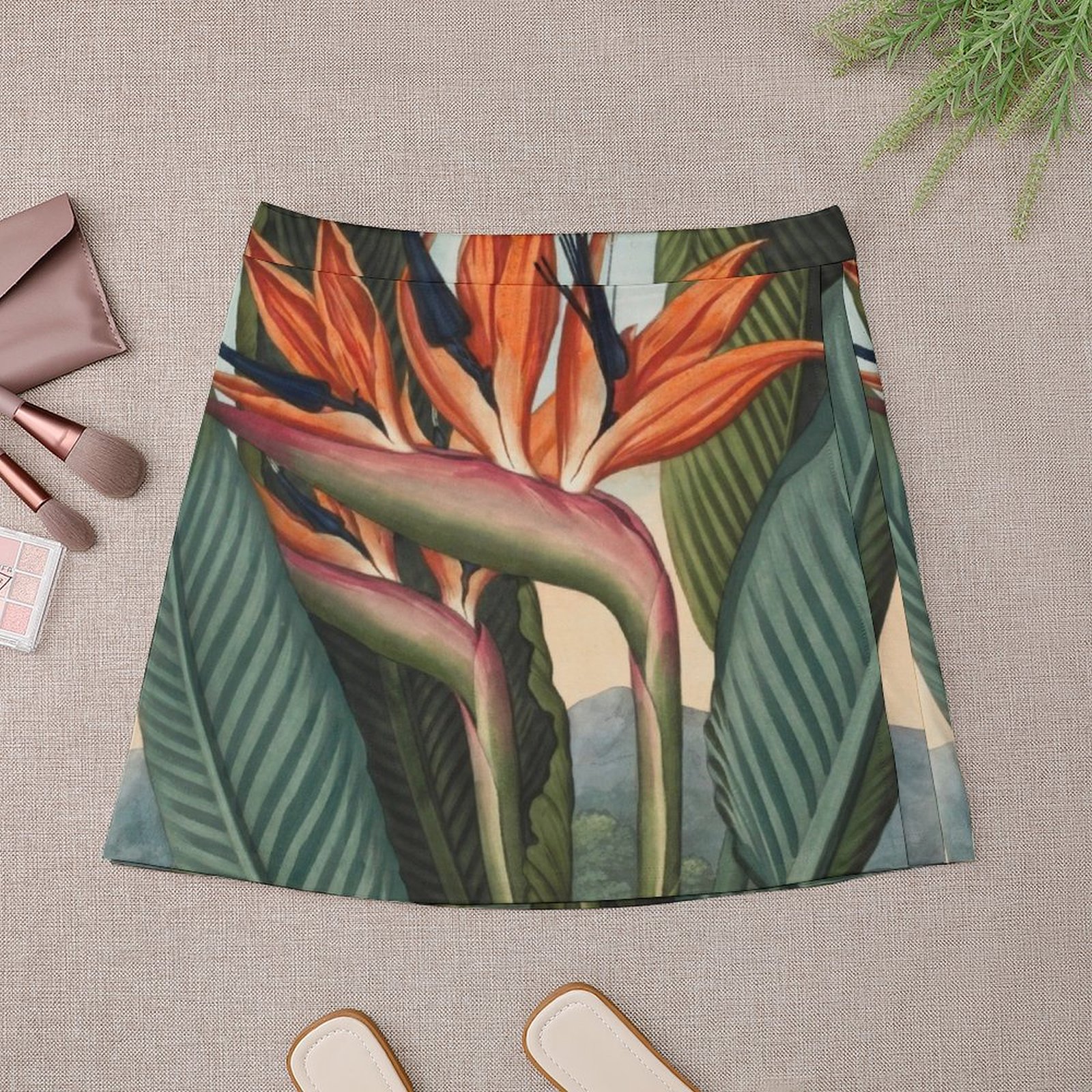 Botanical illustration: Bird o - Bird Paradise Strelitzia のレビューと価格