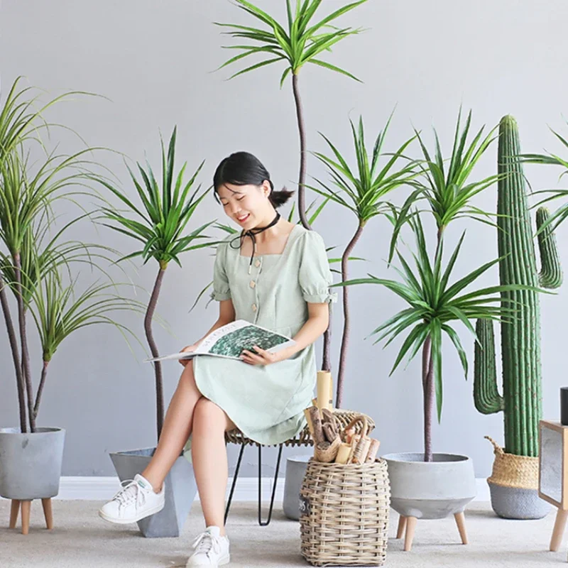 Simulation Plant Dracaena Marg - Dracaena Marginata のレビューと価格