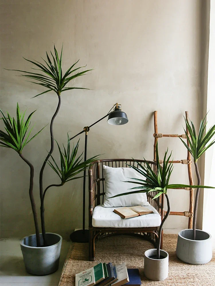 Simulation Plant Dracaena Marg - Dracaena Marginata のレビューと価格