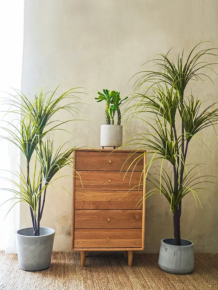 Simulation Plant Dracaena Marg - Dracaena Marginata のレビューと価格