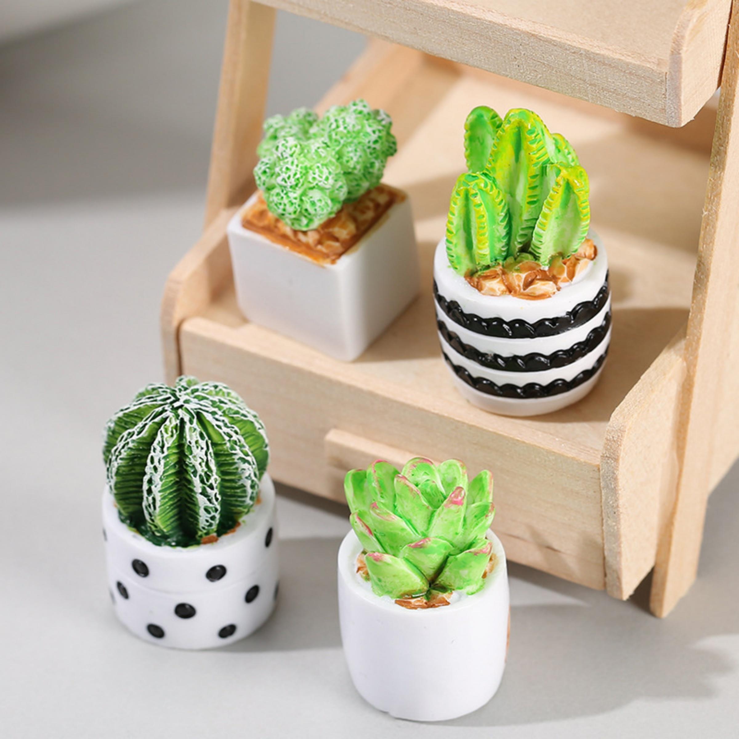 4-Piece Set of Cactus Succulen - Echeveria Succulent のレビューと価格
