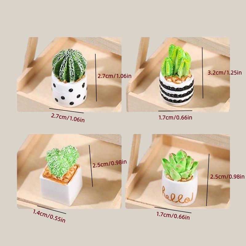 4-Piece Set of Cactus Succulen - Echeveria Succulent のレビューと価格