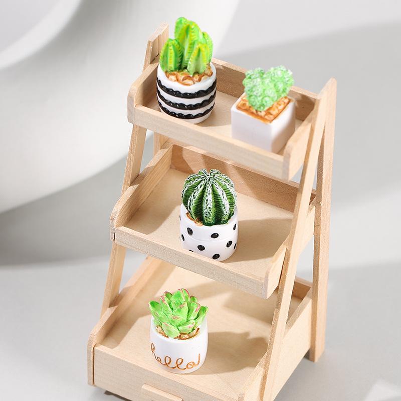 4-Piece Set of Cactus Succulen - Echeveria Succulent のレビューと価格