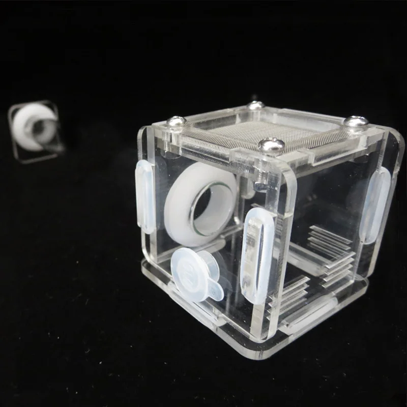 DIY Various Size Ant Farm Bamb - Begonia Rex のレビューと価格