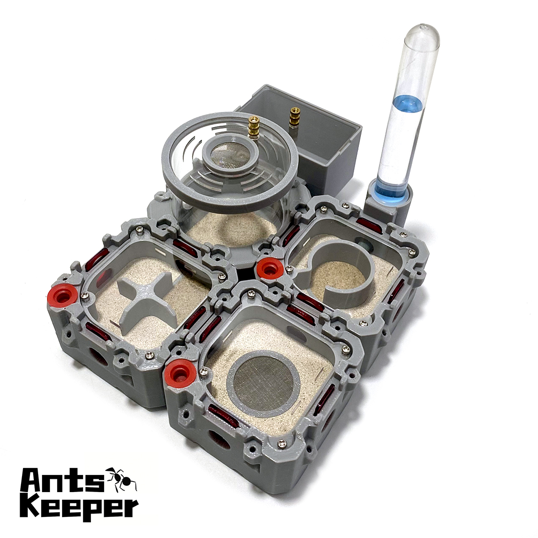【Lego】Expandale Modular Formic - Begonia Rex のレビューと価格