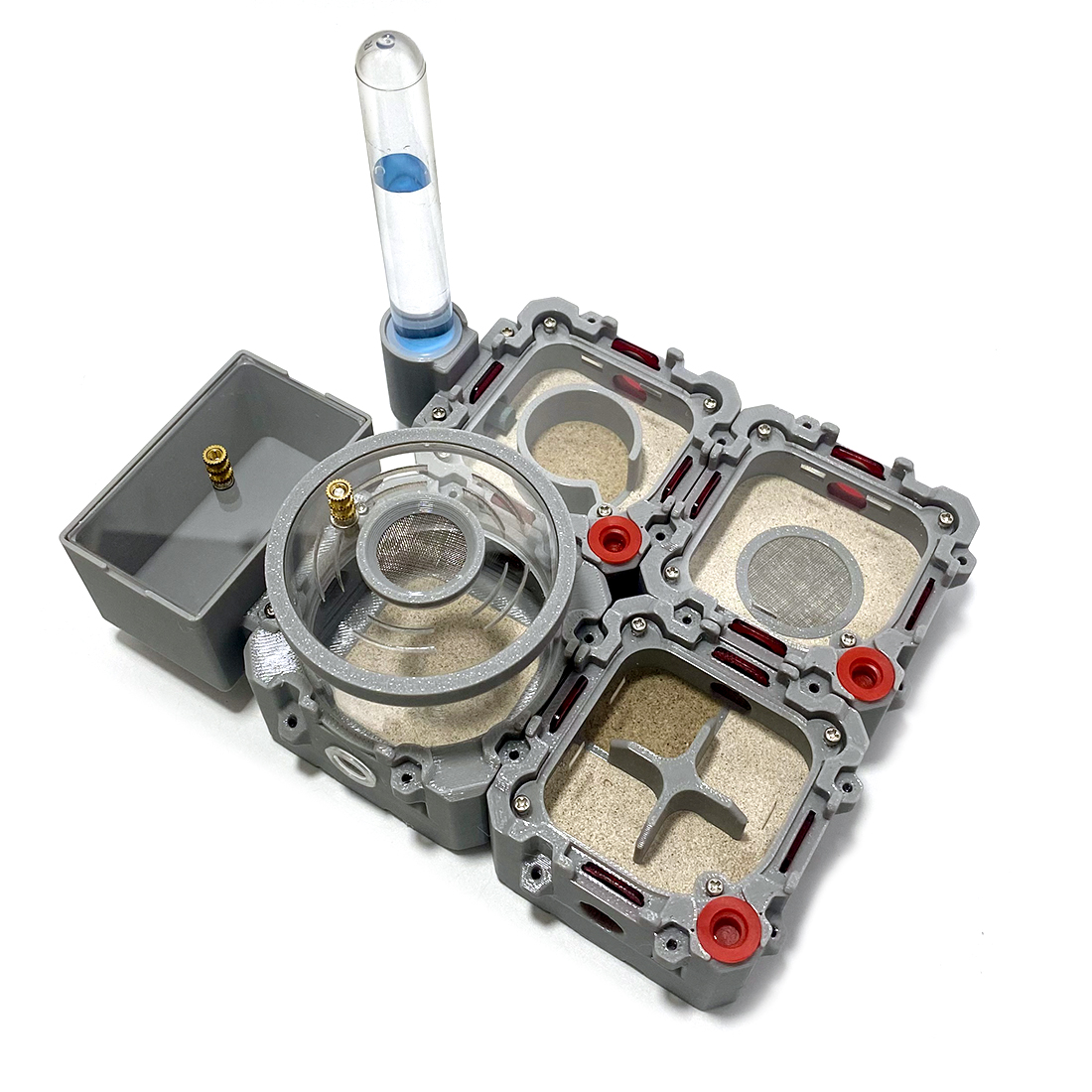 【Lego】Expandale Modular Formic - Begonia Rex のレビューと価格