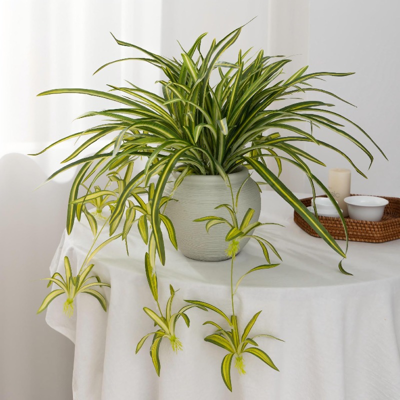 Artificial Spider Plant Chloro - Spider Plant Hanging のレビューと価格