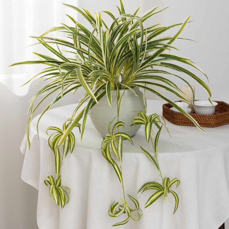 Artificial Spider Plant Chloro - Spider Plant Hanging のレビューと価格