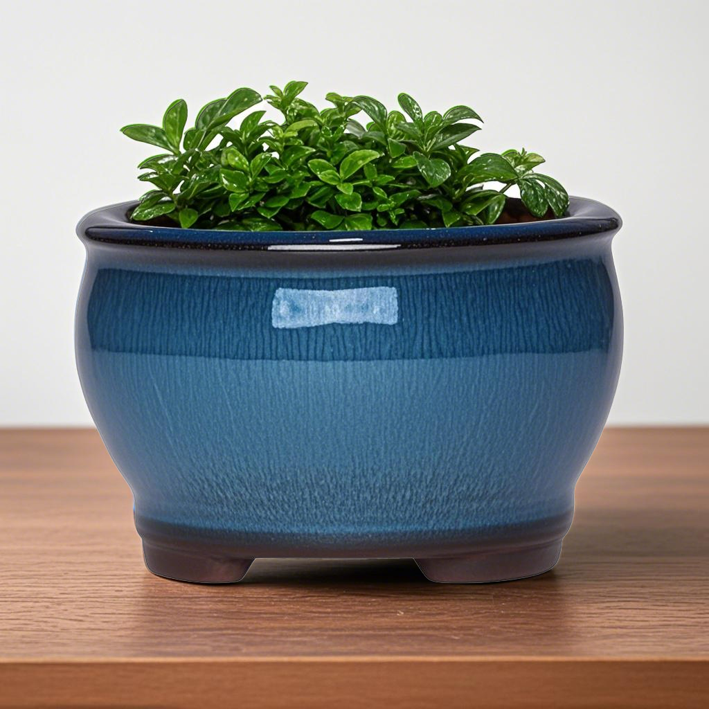 Ceramic Garden Planter Pots Ce - Aloe Vera Pot のレビューと価格