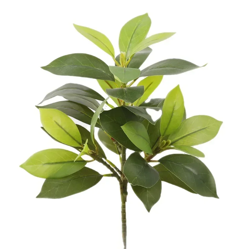 Plastic Artificial Color-chang - Dracaena Marginata のレビューと価格