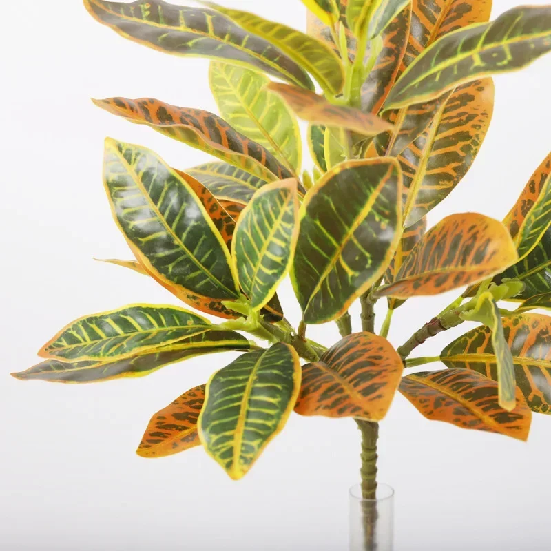 Plastic Artificial Color-chang - Dracaena Marginata のレビューと価格