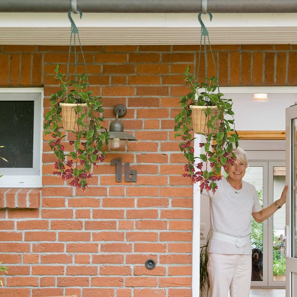 5Pcs Hanging Planter Hooks Ver - Spider Plant Hanging のレビューと価格