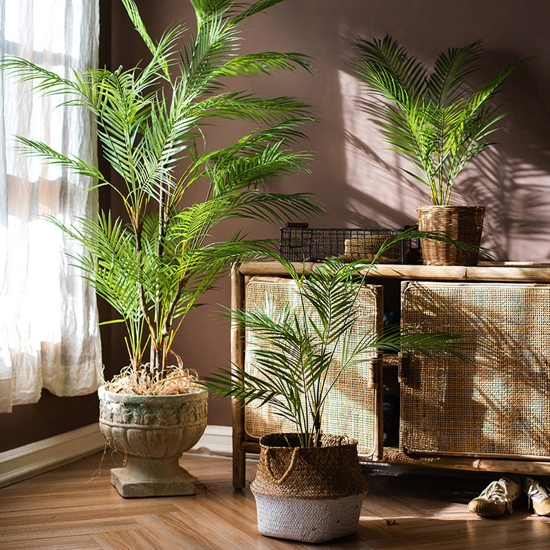 125cm Large Artificial Palm Tr - Dracaena Marginata のレビューと価格