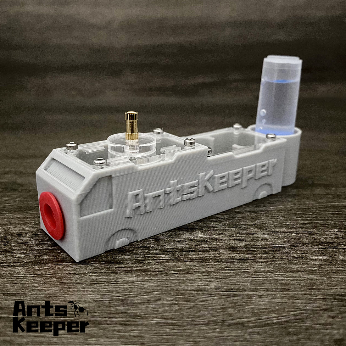 【Truck】Ant Farm for Ants keepe - Begonia Rex のレビューと価格