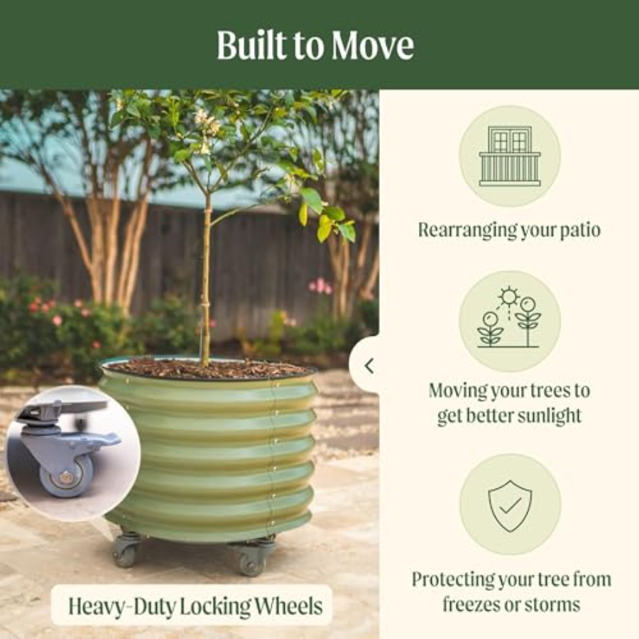 Self-Watering Rolling Metal Ci - Aloe Vera Pot のレビューと価格