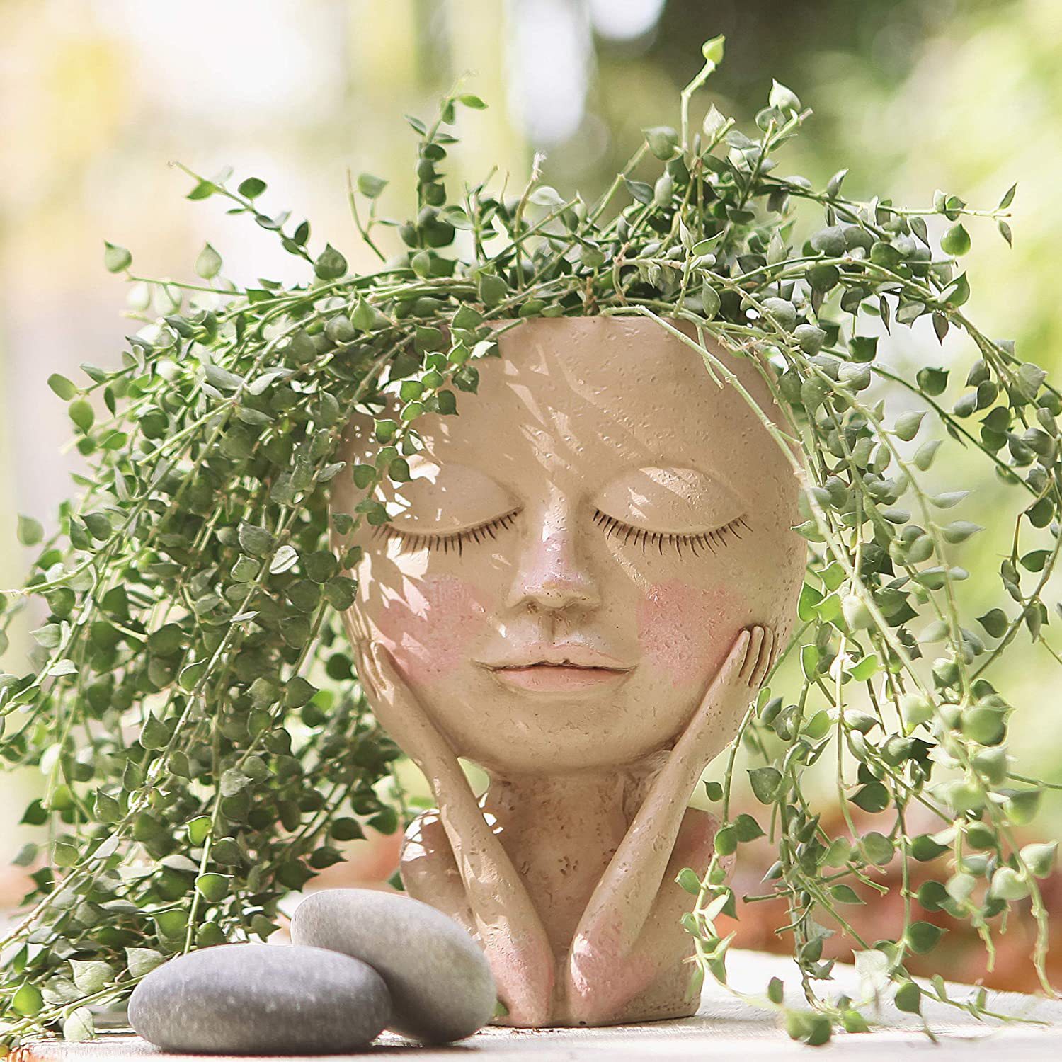 Girls Face Head Flower Planter - Echeveria Succulent のレビューと価格