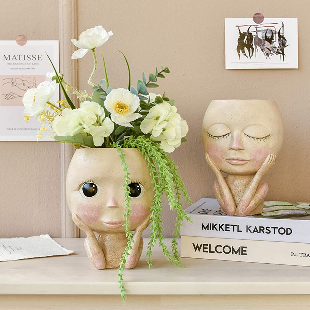 Girls Face Head Flower Planter - Echeveria Succulent のレビューと価格