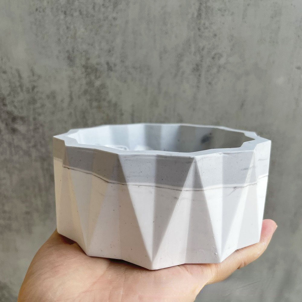 For Fun Flower Pot Silicone Mo - Echeveria Succulent のレビューと価格