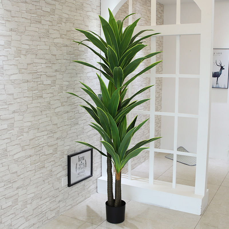 Nordic Wind Large Simulation P - Dracaena Marginata のレビューと価格