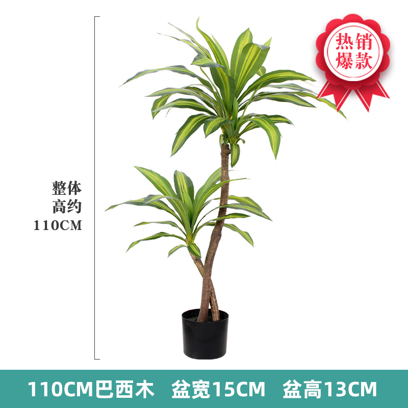 Nordic Wind Large Simulation P - Dracaena Marginata のレビューと価格