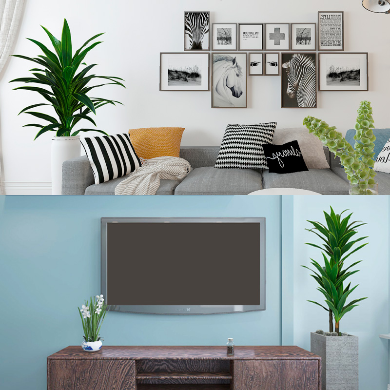 Nordic Wind Large Simulation P - Dracaena Marginata のレビューと価格